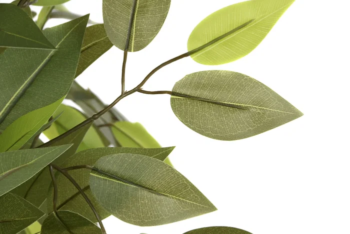 DKD Home Decor Árbol Ficus Verde 80x80x150 cm