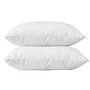Blanreve Juego de 2 almohadas de algodón 60 x 60 cm Blanco Suave 550 g