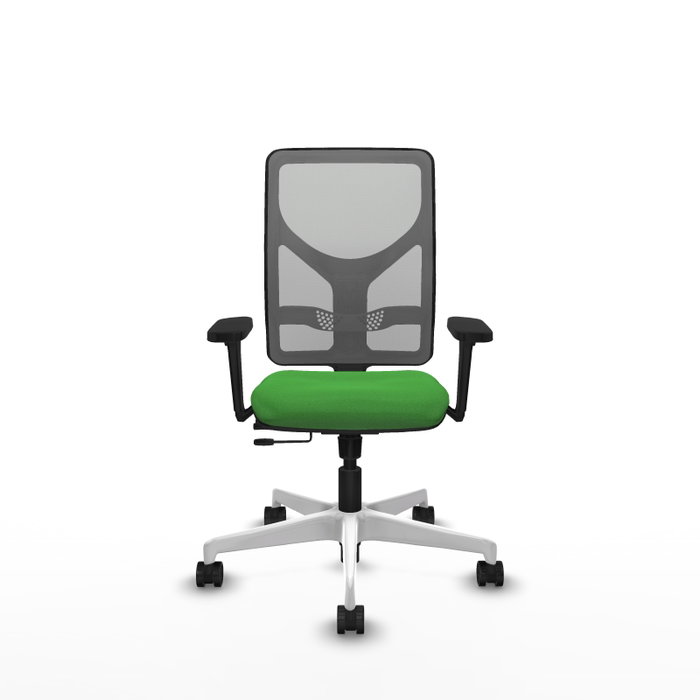 PIQUERAS Y CRESPO Silla de oficina Motilla con mecanismo Sincro/Traslack Verde y Gris PIQUERAS Y CRESPO Silla de oficina Motilla con mecanismo Sincro/Traslack Verde y Gris