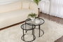 Aurum Juego de Mesas de Café 60x42 cm Negro Gris Vidrio Templado Metal Elegante Sofisticado