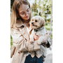 Hunter Arnés Divo Up para Perros, Talla S-M (Cuerpo Ajustable 52-68 cm), Color Beige, Con 5 Puntos de Ajuste y Material Reflectante
