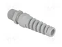 LAPP SKINTOP® BS NPT Sello Aislante NPT3/8 pulgada Gris