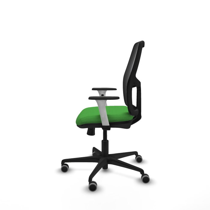 PIQUERAS Y CRESPO Silla Alfera Verde con Brazos ByN