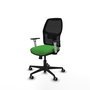 PIQUERAS Y CRESPO Silla Alfera Verde con Brazos ByN