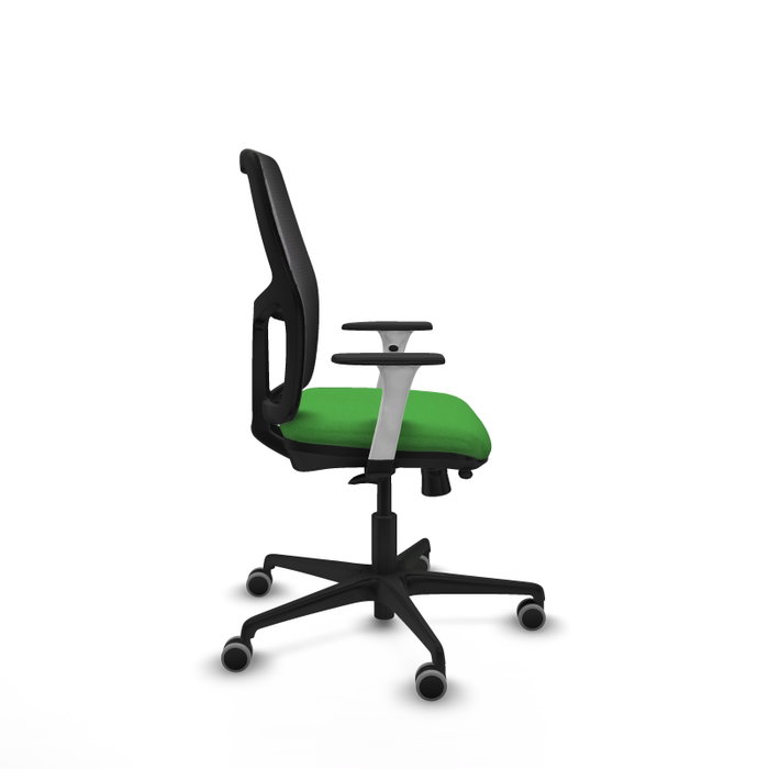 PIQUERAS Y CRESPO Silla Alfera Verde con Brazos ByN