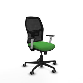 PIQUERAS Y CRESPO Silla Alfera Verde con Brazos ByN