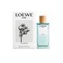 Loewe Aire Anthesis Eau de Parfum 50 ml