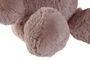 DKD Home Decor Peluche Oso Gris Marron Blanco 34 x 40 x 34 cm (3 Unidades)
