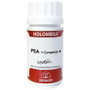 EQUISALUD Holomega PEA con Complejo B 50 cápsulas