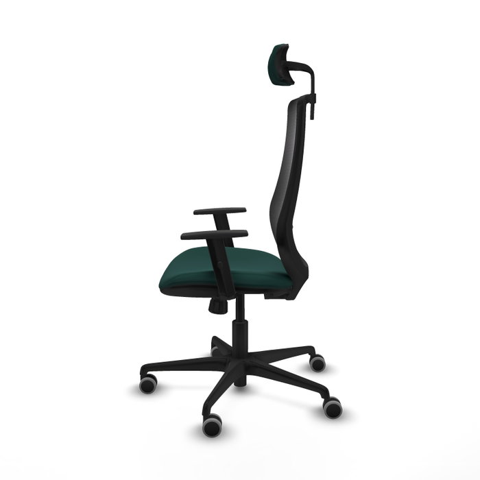 PIQUERAS Y CRESPO Silla de oficina Mardos con mecanismo Sincro, Verde botella y Negro PIQUERAS Y CRESPO Silla de oficina Mardos con mecanismo Sincro, Verde botella y Negro