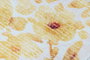 DKD Home Decor Alfombra Tropical Amarillo Blanco Poliester Algodon Flores 240 x 0.7 x 60 cm (2 Unidades)