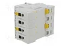 SCHNEIDER ELECTRIC Interruptor magnetotérmico iC60N 10A 3+N 6kA
