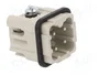 WIELAND Conector HDC macho 4 pines tamaño 3