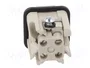 WIELAND Conector HDC macho 4 pines tamaño 3