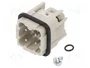 WIELAND Conector HDC macho 4 pines tamaño 3