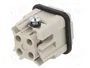 WIELAND Conector HDC macho 4 pines tamaño 3