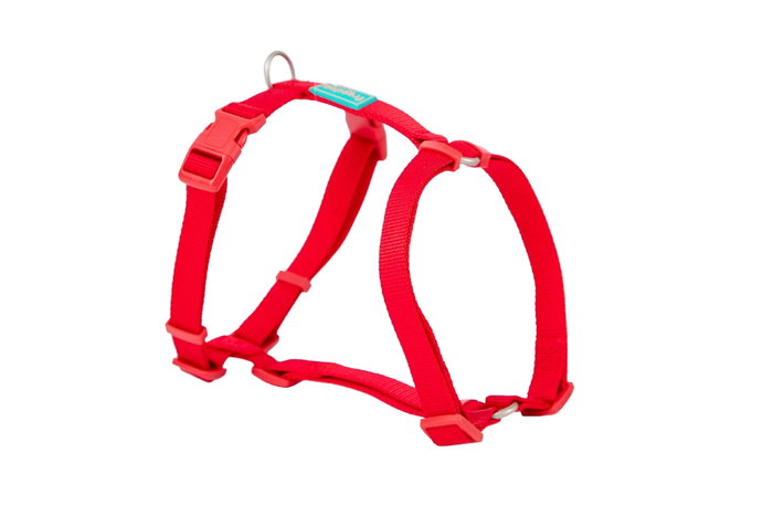 Freedog Arnés Nylon Basic Rojo 15mm 30/50cm Freedog Arnés Nylon Basic Rojo 15mm 30/50cm