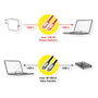 ROLINE Cable USB4 Gen3x2 C-C de 2 m, 40 Gbit/s, 100W, Negro/Oro