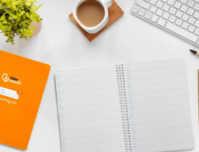 Liderpapel Cuaderno Pautaguía A5 Tapa Dura 80 Hojas Cuadro Pautado 4mm Naranja