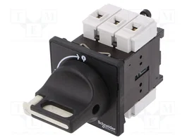 SCHNEIDER ELECTRIC Seccionador principal de seguridad TeSys VARIO 3 polos 25A IP65