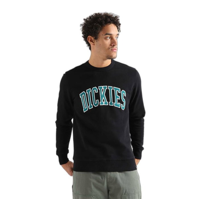 Sudadera con Capucha Hombre Dickies Aitkin Negro Sudadera con Capucha Hombre Dickies Aitkin Negro