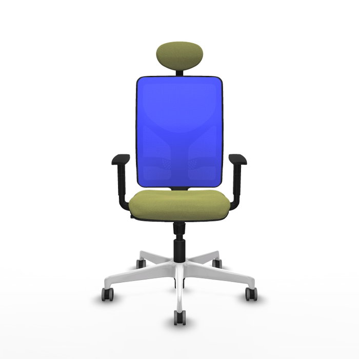 PIQUERAS Y CRESPO Silla de oficina Motilla con mecanismo Sincro, Verde oliva y Azul PIQUERAS Y CRESPO Silla de oficina Motilla con mecanismo Sincro, Verde oliva y Azul