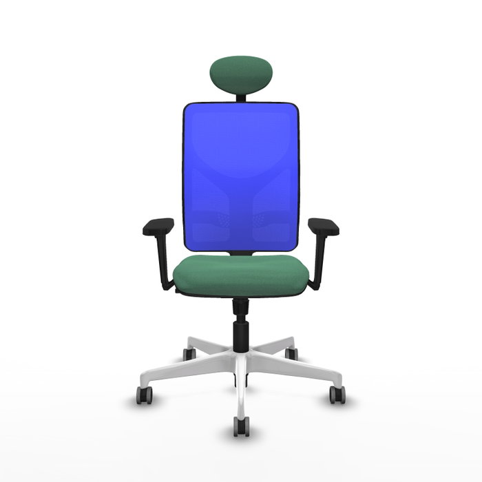 PIQUERAS Y CRESPO Silla de oficina Motilla con mecanismo Sincro, Verde esmeralda y Azul PIQUERAS Y CRESPO Silla de oficina Motilla con mecanismo Sincro, Verde esmeralda y Azul