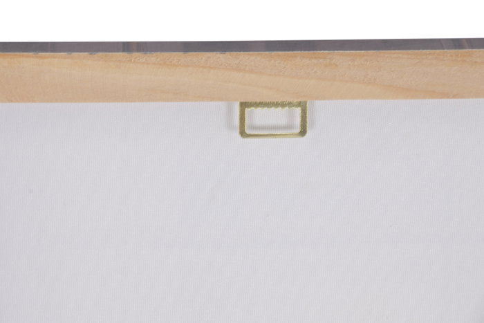 DKD Home Decor Cuadro Lienzo MDF 40x60 Gato Baño Surtido de 4