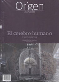 DIARIO DE ATAPUERCA, El cerebro humano - Cuadernos