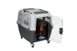 Kruuse Skudo 4 Cage Transportín para Perros y Gatos Aprobado para Avión 68x48x51 cm