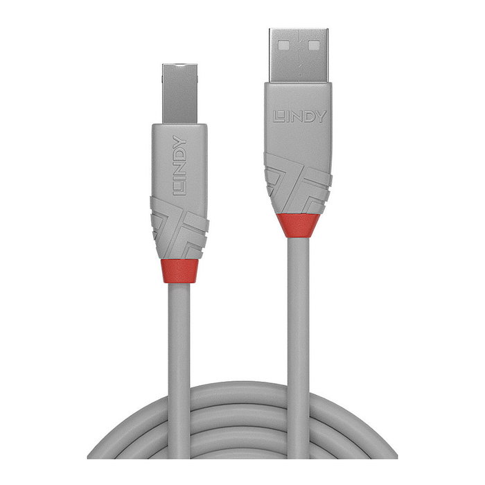 Lindy Cable USB 2.0 Tipo A a B 0,5 m Gris