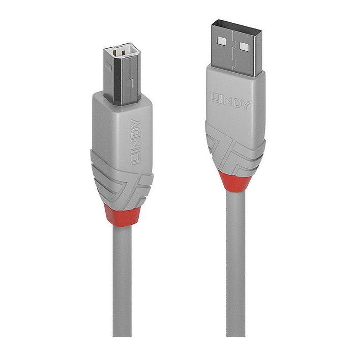 Lindy Cable USB 2.0 Tipo A a B 0,5 m Gris