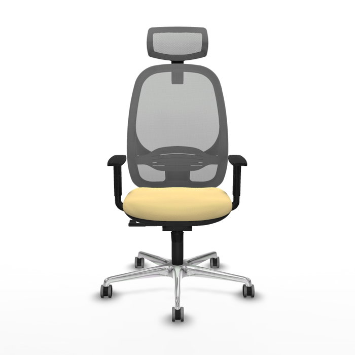 PIQUERAS Y CRESPO Silla de oficina Cilanco con mecanismo Sincro, Crema y Gris PIQUERAS Y CRESPO Silla de oficina Cilanco con mecanismo Sincro, Crema y Gris