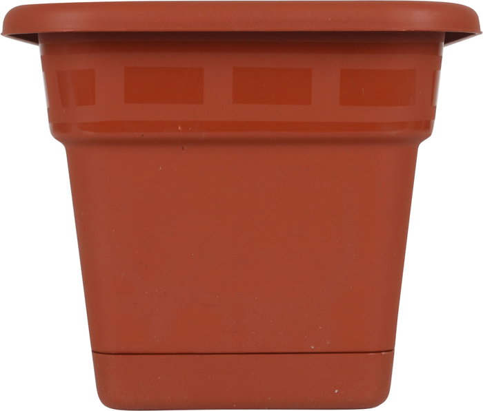 Dem Jardinera Con Plato 60 x 20 cm Squares (8 Unidades)