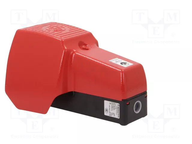 BERNSTEIN AG Interruptor de pie SPST-NO + SPST-NC 3A/250VAC IP65