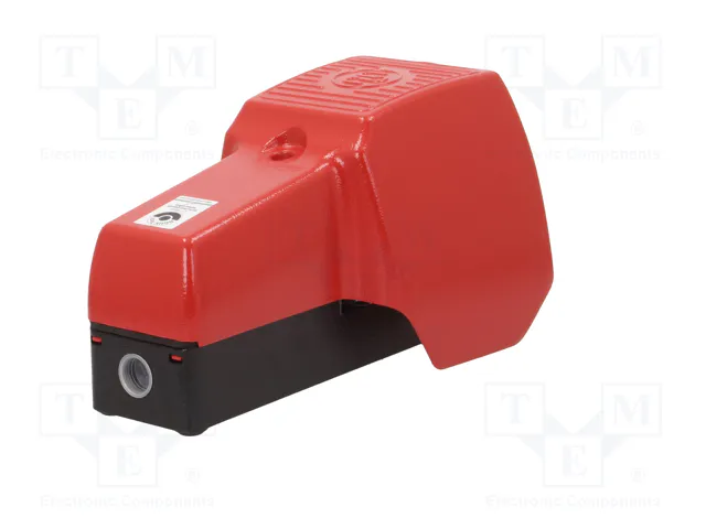 BERNSTEIN AG Interruptor de pie SPST-NO + SPST-NC 3A/250VAC IP65