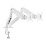 Aisens Soporte de Mesa DT32TSR-439 para 2 Monitores/TV de 17-32 pulgadas, Blanco