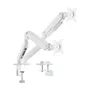 Aisens Soporte de Mesa Eco DT32TSR-439 para 2 Monitores 17-32 Pulgadas, Blanco