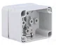 FIBOX EURONORD Carcasa Universal Gris