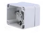 FIBOX EURONORD Carcasa Universal Gris