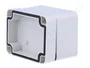 FIBOX EURONORD Carcasa Universal Gris