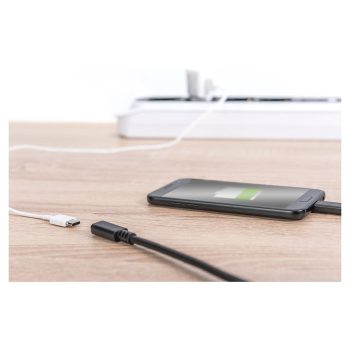 Digitus Cable de Extensión USB 2.0 Tipo C, USB-C Macho a USB-C Hembra, 2 metros, Longitud 2m, Negro