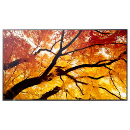 Sharp MultiSync PN-M752 Pantalla Digital Signage 75" 189,3 cm 4K LED 24/7