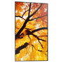Sharp MultiSync PN-M752 Pantalla Digital Signage 75" 189,3 cm 4K LED 24/7