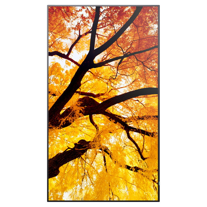 Sharp MultiSync PN-M752 Pantalla Digital Signage 75" 189,3 cm 4K LED 24/7