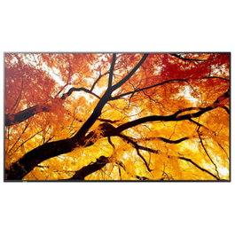 Monitor Videowall Sharp 60006057 4K Ultra HD 74,5"