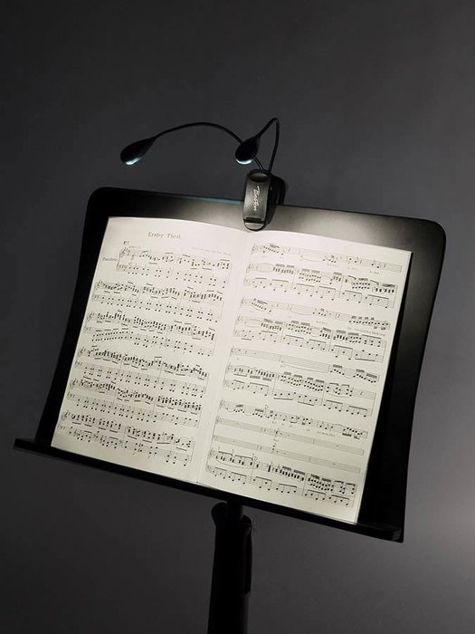 Boston MSL-504 Luz Led Doble para Atril con Cable Usb Boston MSL-504 Luz Led Doble para Atril con Cable Usb