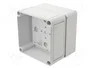 SPELSBERG TK PC Carcasa Universal de Policarbonato Gris 110x110x90mm