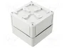 SPELSBERG TK PC Carcasa Universal de Policarbonato Gris 110x110x90mm