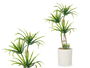 Ibergarden Maceta Cemento Mediana Palmera Verde 22x41x16 cm (Set de 12)